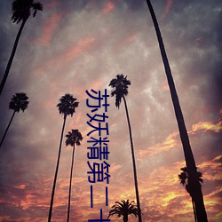 蘇妖精第二十一章