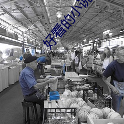 好看(看)的小(小)说(說)排行榜(榜)