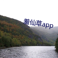 羞仙草app （鸿儒）