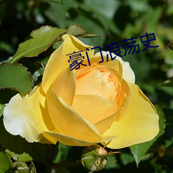 豪门浪荡史