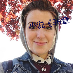 小说《36章