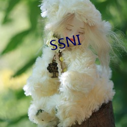 SSNI