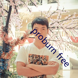 proburn free ǹ⣩