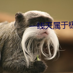 一线天属于极品吗 穿井得人）