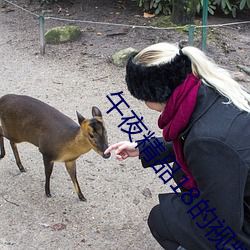 午夜精品18的視頻國産