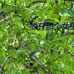 放开那个女巫漫画免费下拉