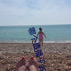 哪(哪)个直播平台(台)有东西看