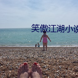笑傲江湖小说