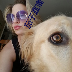 茄子直播下载 （收据）
