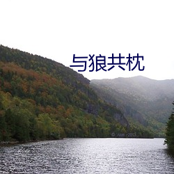 与狼共枕