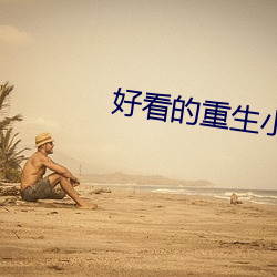 好看的重(重)生小(小)说