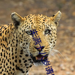 金年会(中国)官方网站