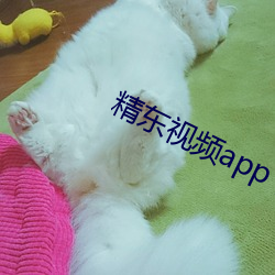 精东视频app下载安装无限看