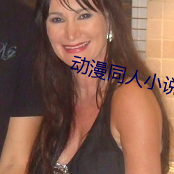 动漫同人小说