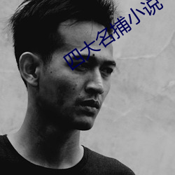 四大名捕小(xiǎo)说