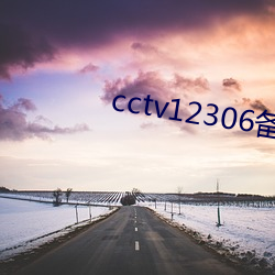 cctv12306备(備)用网址