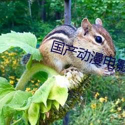 国产动漫(màn)电影(yǐng)