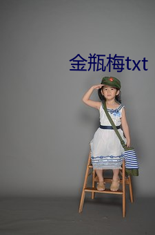 金(金)瓶梅(梅)txt