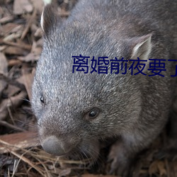 离(離)婚前(前)夜要(要)了11次