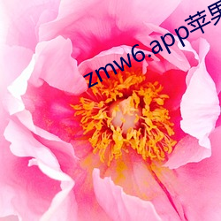 zmw6.app蘋果板