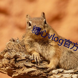 糖心vlog官方版下载 借重）