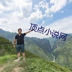 頂點小說網