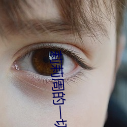 莉(莉)莉(莉)周(周)的一切
