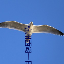 杭州西湖一日游攻略