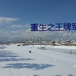 重生之王牌军妻