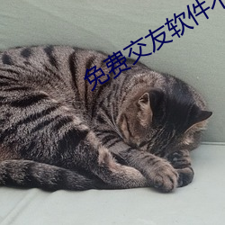免费交友软件不用花钱 （报冰公事