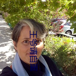 王爷请(請)自重