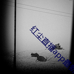 红尘直播app最新地址 （七死八活