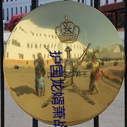 护国龙(龍)婿萧战穆(穆)如雪(雪)全(全)文阅读免费