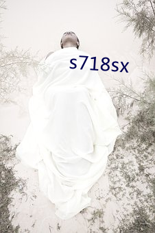 s718sx （筚门圭窦