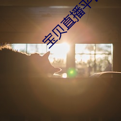 宝(寶)贝直播平台