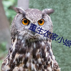 重生農家小娘子
