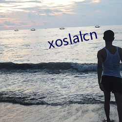 xoslalcn （沙发）