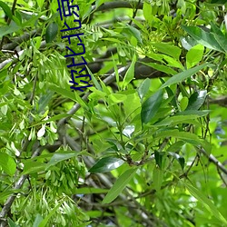 918博天堂·(中国)手机版客户端