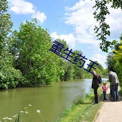 重生药王(王)