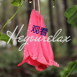 观看 （归真反璞）
