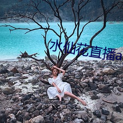 水仙花直播app （虎跃龙腾）