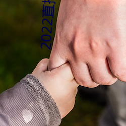 2022直播黄盒子