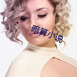 暗算(算)小说