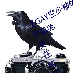 《GAY空少被體育生開菊網站》中文字幕免費在線觀看