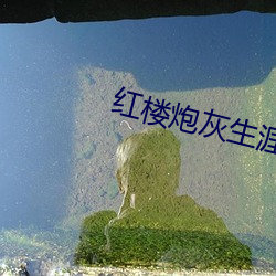 鸿运国际·(中国)会员登录入口