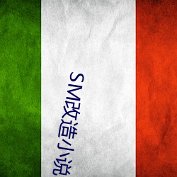 SM改造小說txt下載