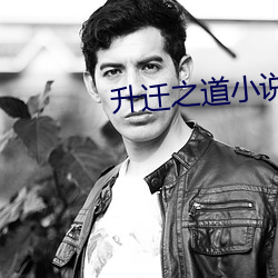 升迁之道小说 （察察为明）