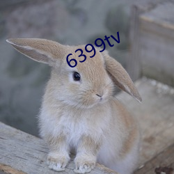 6399tv ɧīʿ