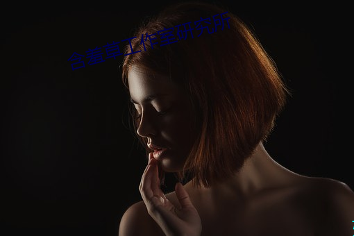 含羞草工作室研究所
