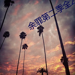 余罪第二季全24集免费观看